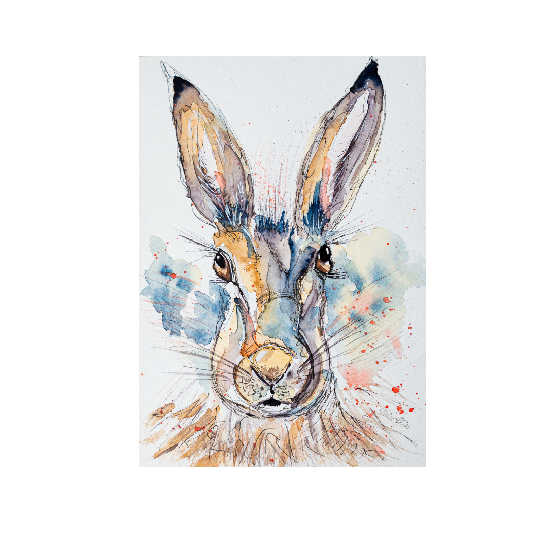 Hase Aquarell